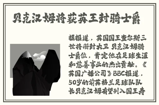 新版金银瓶一级l